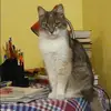 Отзыв от Нина Голикова